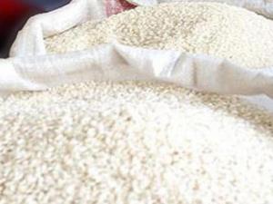 Sandino arroz