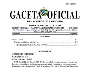 resolución 18