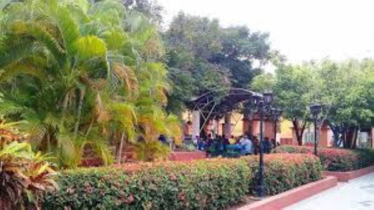 Coppelia Jardín de las Enramadas