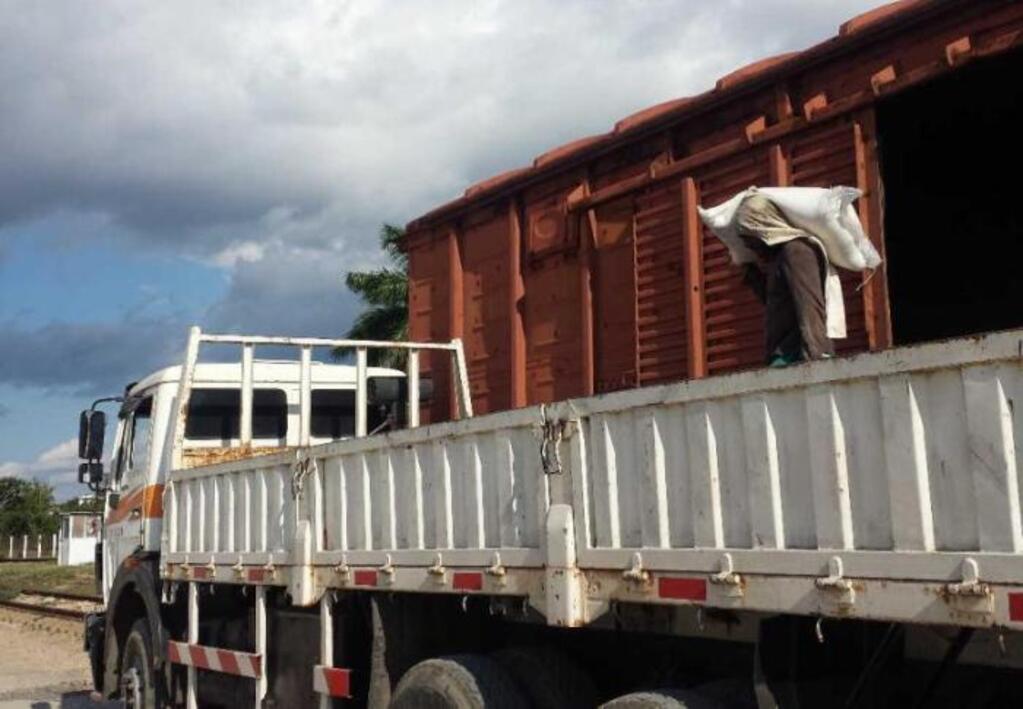 transporte