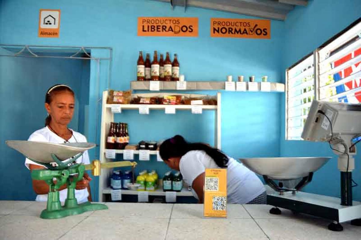 Bodegas