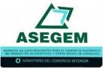 Asegem